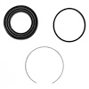 Front Disc Brak (B)
