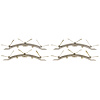 Front Disc Brak (SLP) - image 1