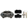 CALIPER ASM FRT BRK REMAN - image 1
