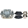 CALIPER ASM RR BRK W/ BRK - image 1