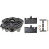CALIPER ASM RR BRK W/ BRK - image 1