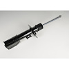 STRUT KIT FRT SUSP - image 1