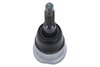JOINT ASMRR SUS (SLP-1) - image 2