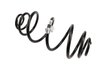 SPRING-RR (B) - image 2