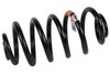 SPRINGRR COIL (B) - image 1