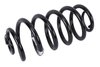 SPRINGRR COIL (B) - image 1