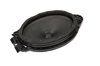 Rear Radio Spea (A)
