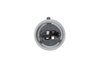 Headlamp Socket (P1) - image 2