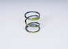 SPRING-REV BAND SERVO PST - image 1