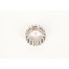 PLATE ASM-FWD CLU - image 1