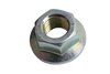 NUT (99) - image 1