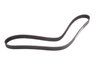 Timing Belt (SLP-P1) - image 1