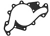 GSKT W PMP CVR - image 1