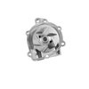 Water Pump Kit (B) - image 3