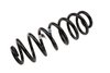 SPRINGRR COIL (A) - image 1