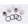CALIPER SEAL KIT (SLP) - image 1