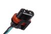 Headlight Wirin (P1) - image 3