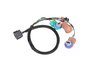 Tail Light Wiri (P1) - image 1