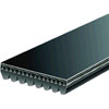 V-Ribbed Serpen (B) - image 1