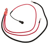 Positive Batter (SLP) - image 1