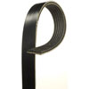 V-Ribbed Serpen (A) - image 1