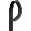V-Ribbed Serpen (B)