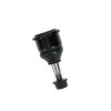 Front Lower Sus (SLP) - image 4