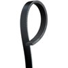 V-Ribbed Serpen (PARITY)