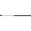 STRUT ASM R/CMPT LID