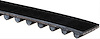 BELT TMG - image 1