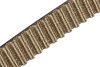 Timing Belt (SLP-P1) - image 2