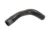 HOSE-ENG OIL CL (SLP-1) - image 2
