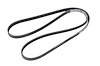 V-Ribbed Serpen (SLP-P1) - image 1