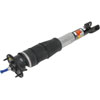 ABSORBER ASM RR SHK W/ UP - image 1