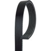 V-Ribbed Serpen (PARITY) - image 1
