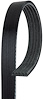 V-Ribbed Serpen (PARITY)