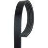 V-Ribbed Serpen (PARITY) - image 1