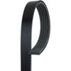 V-Ribbed Serpen (B) - image 1