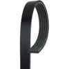 V-Ribbed Serpen (B)