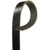 V-Ribbed Serpen (B) - image 1