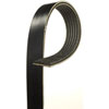 V-Ribbed Serpen (B)
