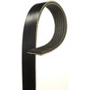 V-Ribbed Serpen (B)