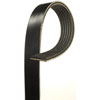V-Ribbed Serpen (A) - image 1