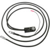 Positive Batter (SLP) - image 1