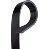 V-Ribbed Serpen (B) - image 1