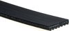 V-Ribbed Serpen (B) - image 2