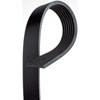 V-Ribbed Serpen (A)