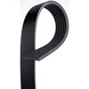 V-Ribbed Serpen (PARITY)