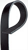 BELTSERPENTINE ACDELCO AL