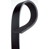 V-Ribbed Serpen (A)